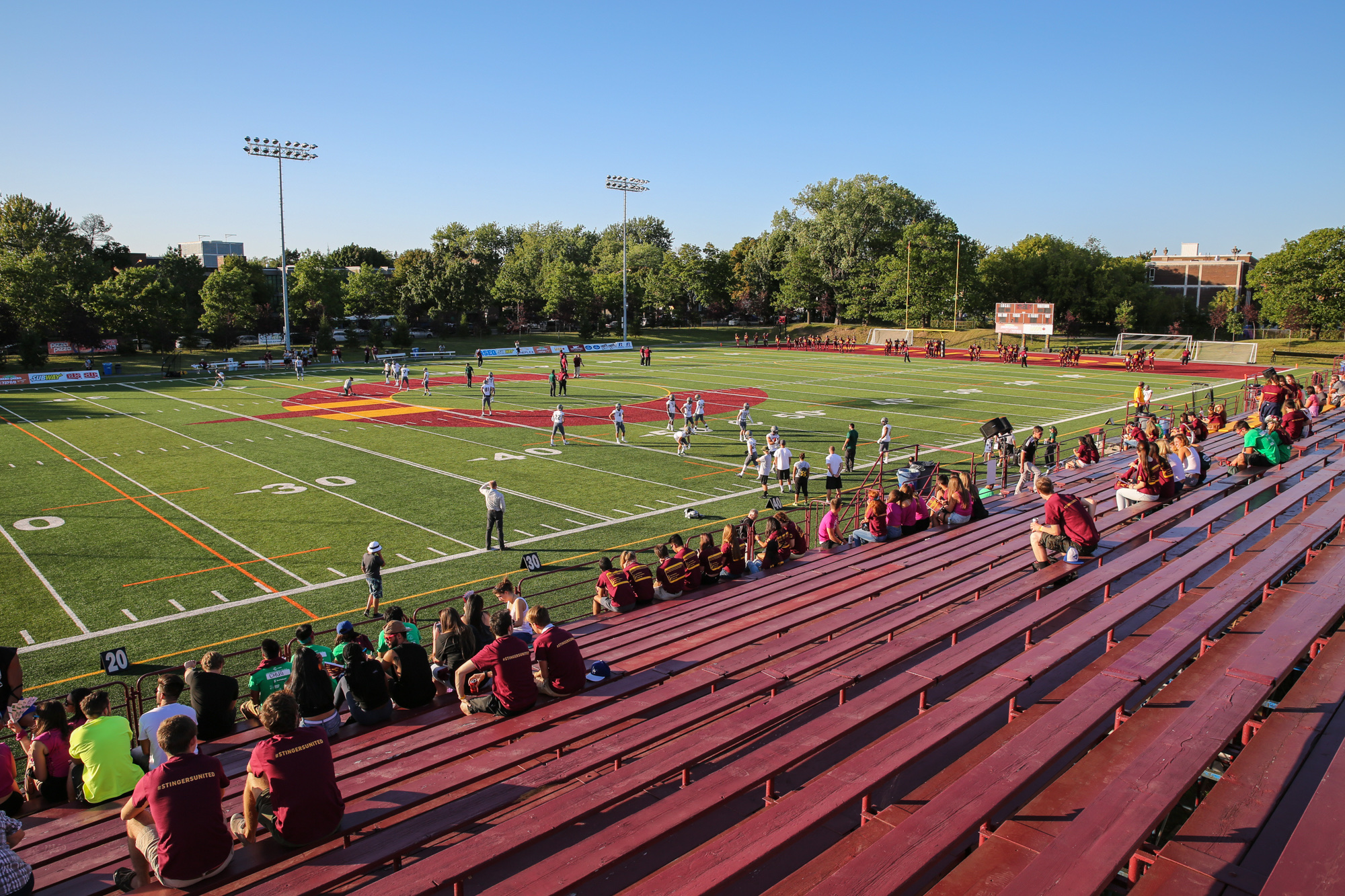 Mascotte Stingers intégrée dans le gymnase de basketball Concordia
